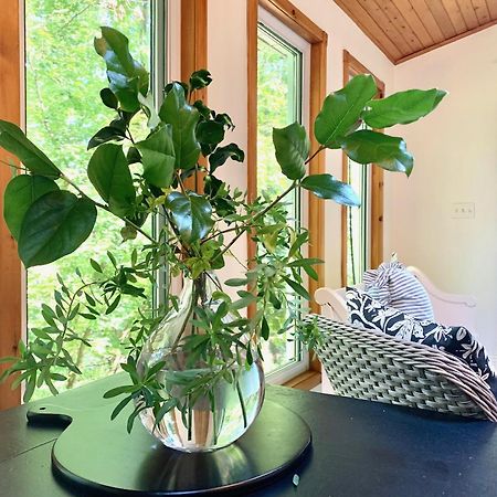 Plantation House Bed & Breakfast Port Hope Ngoại thất bức ảnh