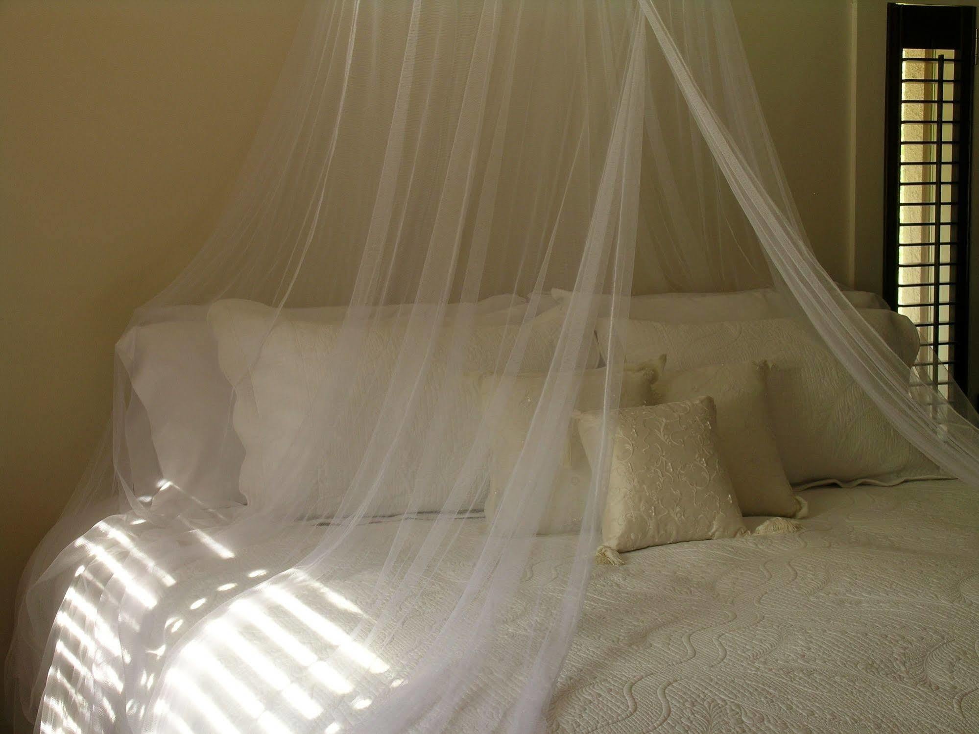 Plantation House Bed & Breakfast Port Hope Ngoại thất bức ảnh